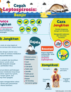 Cegah Leptospirosis : Banjir